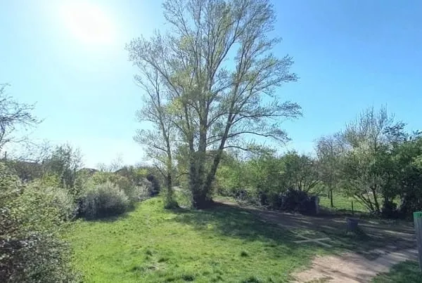 Grand T3 dans le plus beau parc de Lyon à Montchat