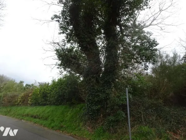 Terrain 740 m²