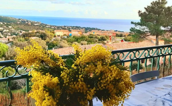 Appartement 2/3 pièces à vendre avec vue mer dégagée aux Issambres