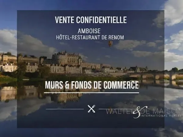 Hôtel particulier 20 pièces 500 m²