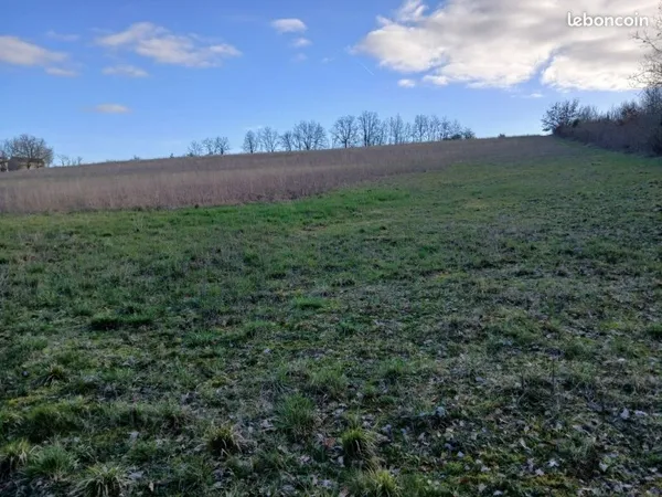 Terrain agricole