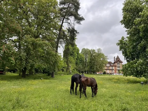 Manoir rénové avec domaine de 5 hectares - Propriété d'exception à 50km de Paris