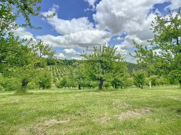 Agriculture - Viticulture