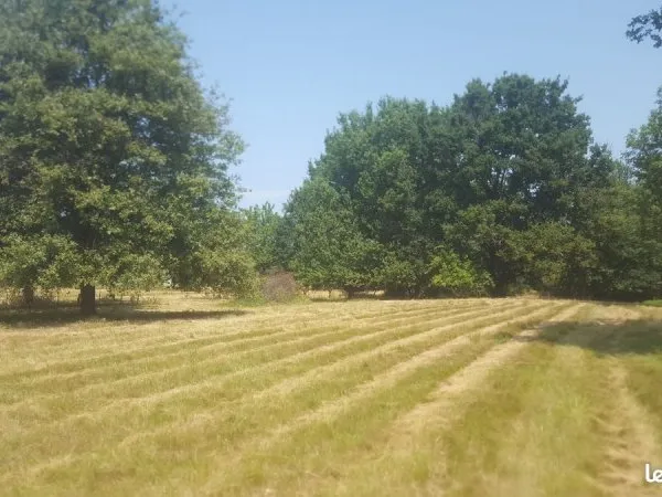 A vendre terrain constructible