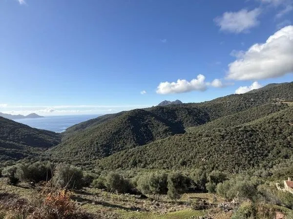 A VENDRE BAS DE VILLA VUE MER AVEC JARDIN PARTINELLO
