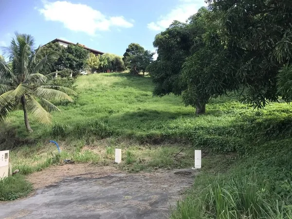 SAINTE-LUCE : Terrain à bâtir