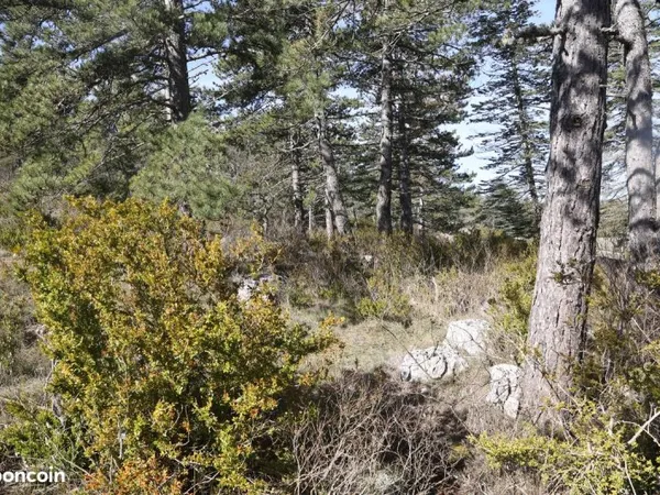 Terrain à bâtir C