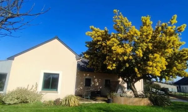 Maison 6 pièces 130 m²