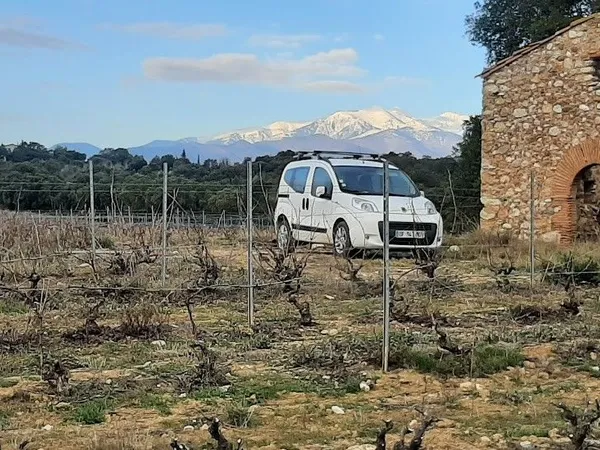 Bien agricole et foncier Vente Vivès  181650m² 60000€