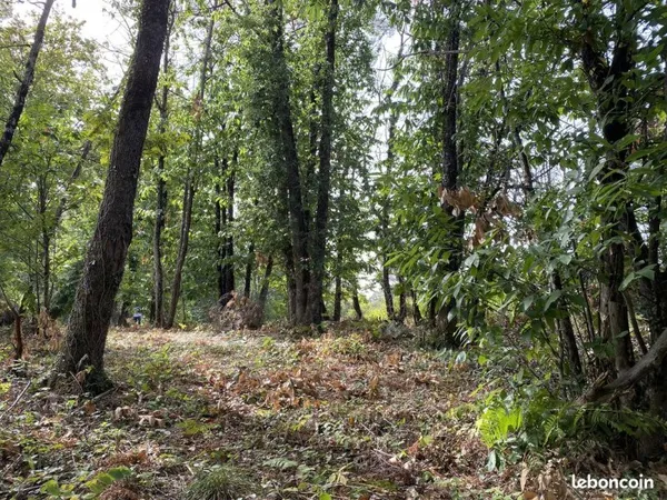 Terrain 1035 m² Chancelade