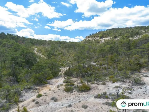 Forêt de 92370 m2 à TRIGANCE