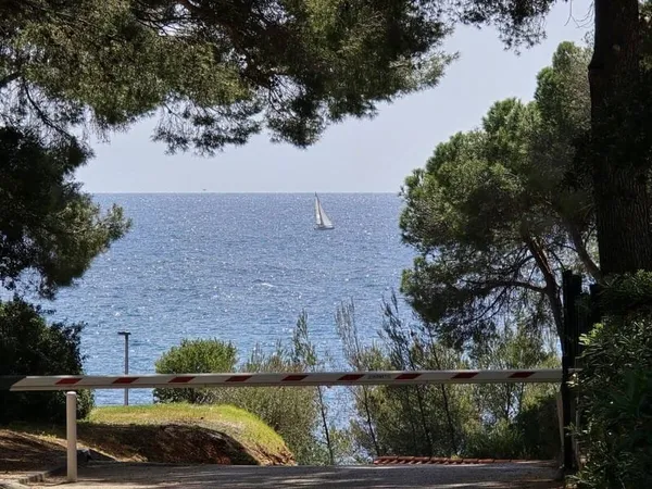 Studio 1 pièce 30 m²