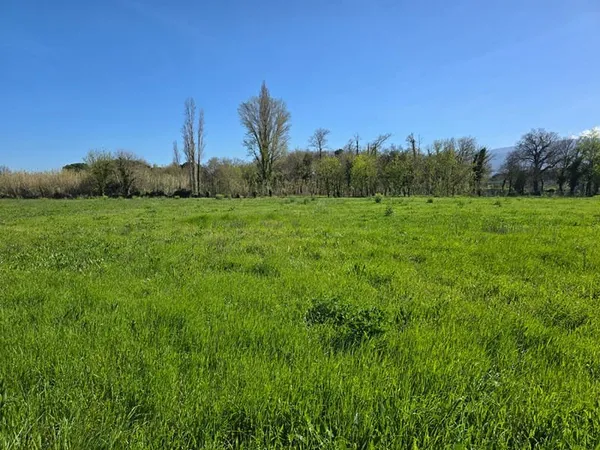 Terrain Argeles Sur Mer 4305 m2