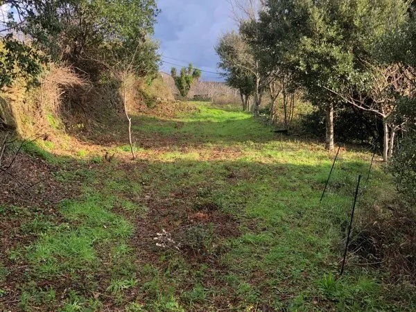 Terrain à Sisco (cap Corse)