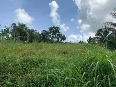BEAUX TERRAINS PLATS - 656 M² LE LORRAIN