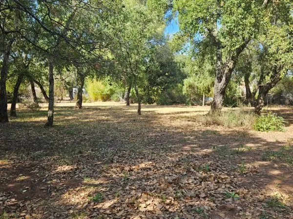 Terrain 1007 m²