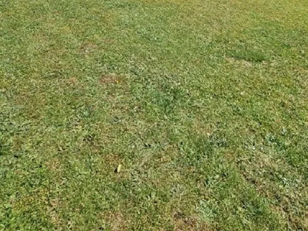 Terrain 554 m²