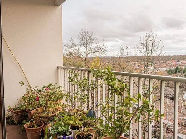 Appartement 2 pièces 56 m²