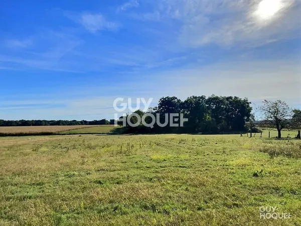 Magnifique terrain plat viabilisé 4478 m² proche Hagetmau