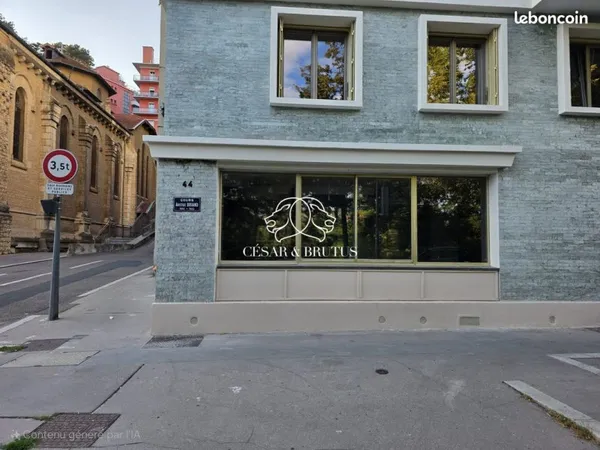 Bureaux 81 m² Caluire-et-Cuire