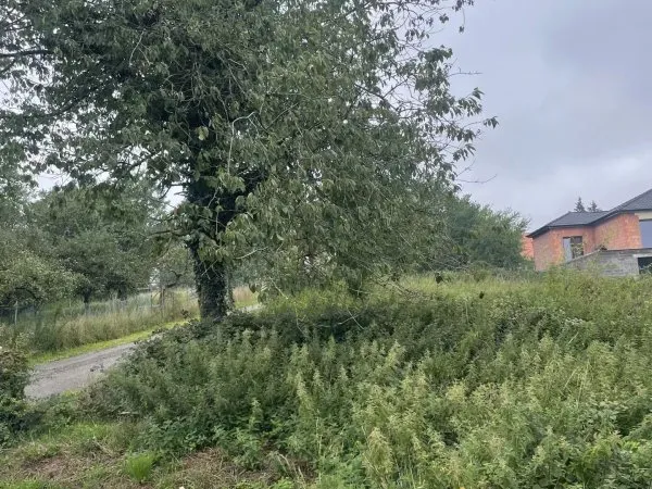 Terrain constructible d'une surface de 1105 m² à CADENBRONN