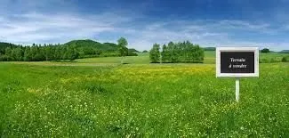 Terrain à bâtir de 443 m² à LUMIGNY-NESLES-ORMEAUX (77)