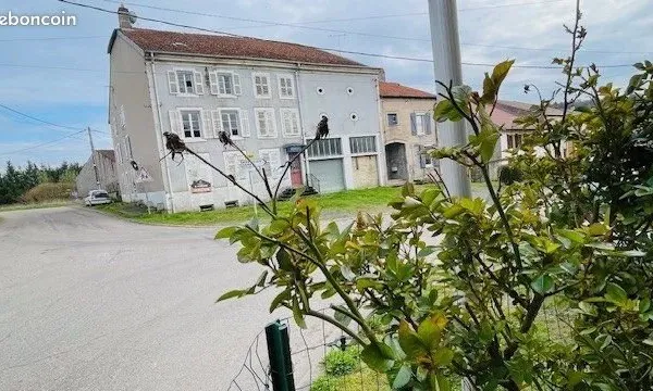 Maison de village 10 pièces 301 m²