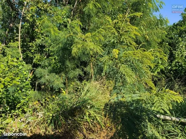 Terrain 850 m² Saint Louis