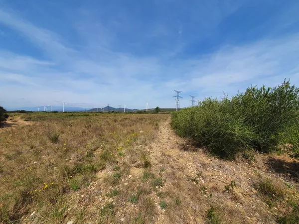 Terrain agricole Calce 12390 m2