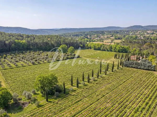 Vignoble de caractère à vendre dans le Var, une signature reconnue en Provence.