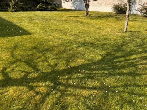 🏡 Terrain à bâtir 971 m² - Ménilles (27) - 73 000 net vendeur