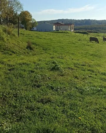 Terrain en individuel 1941 m²