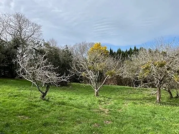 Terrain 1206 m²