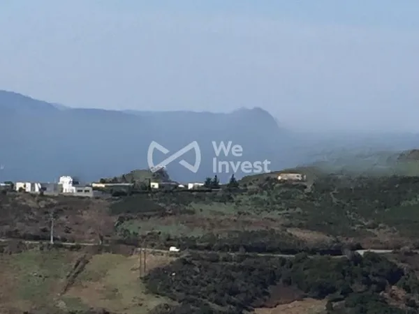 Terrain 4200 m²