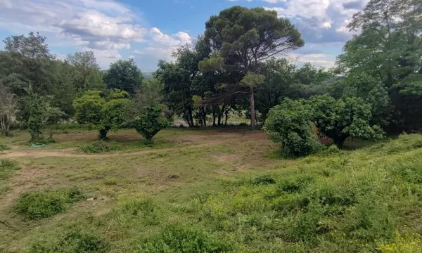 Terrain 1516 m²