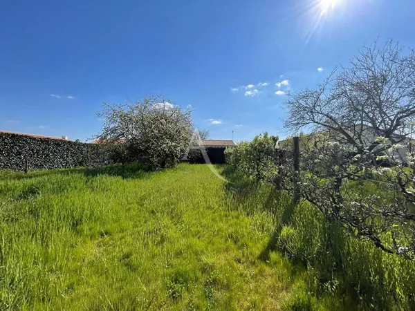 Terrain 554 m²
