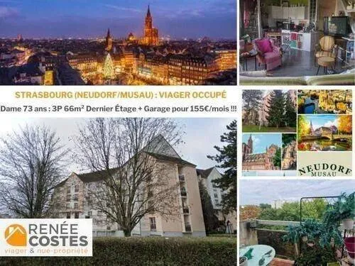 Appartement 3 pièces 66 m²