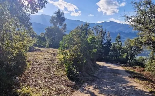 Terrain 2500 m² viabilisé avec une belle vue