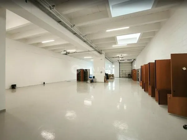 Local d'activité 562 m²