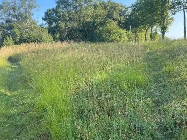 Terrain 630 m²