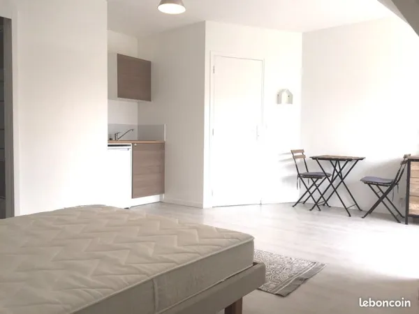 Grand studio meublé avec terrasse dans une maison en colocation