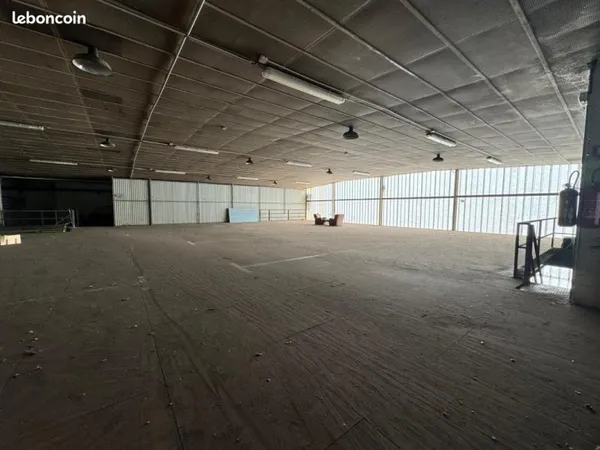 Local 500 m²