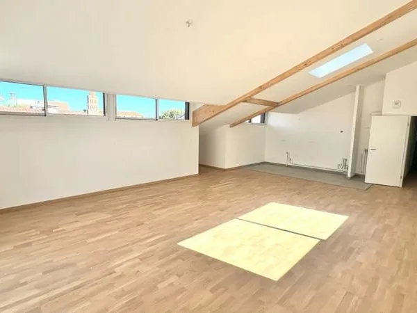 Appartement T4 - 119m2 - Saint-Cyprien