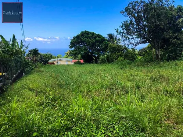 Terrain à bâtir de 1 316 m2 à vendre à Basse-Pointe