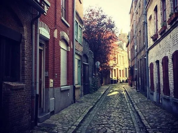 Appartement vieux Lille