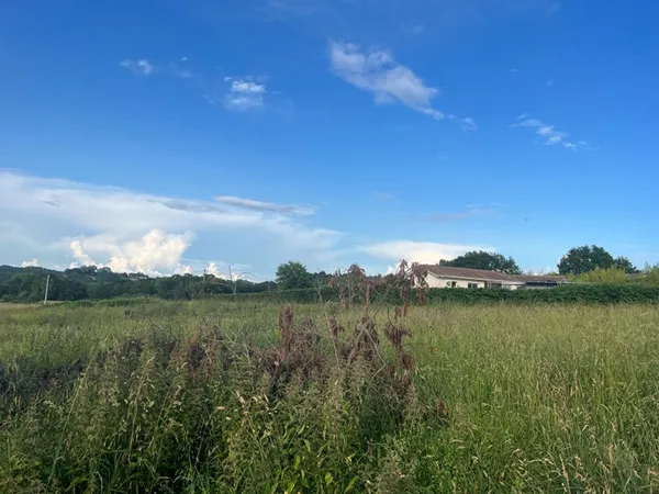 Terrain 3785 m²