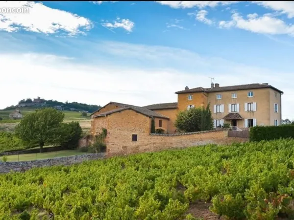 200m² au coeur des vignes