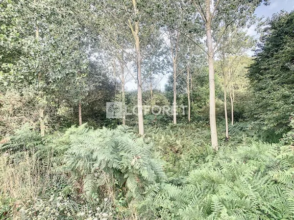 Terrain Mauron/Guilliers 10140 m2