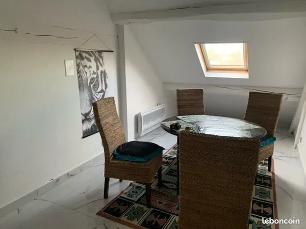 Grand 2 pièces plus de 50 m2 au sol idéal pour étudiants ou jeune dynamique loyer 770