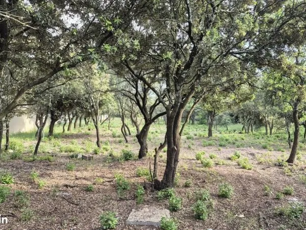 Terrain 801 m² Grillon